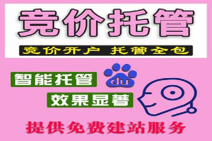 百度竞价推广运营案例分享：如何提升广告转化率